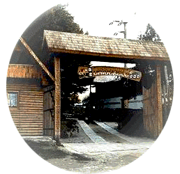 Cabana ghiocelul